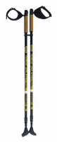 NILS Extreme NW 603 Nordic-Walking palice