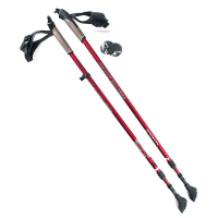 NILS Extreme NW 802 Nordic-Walking palice